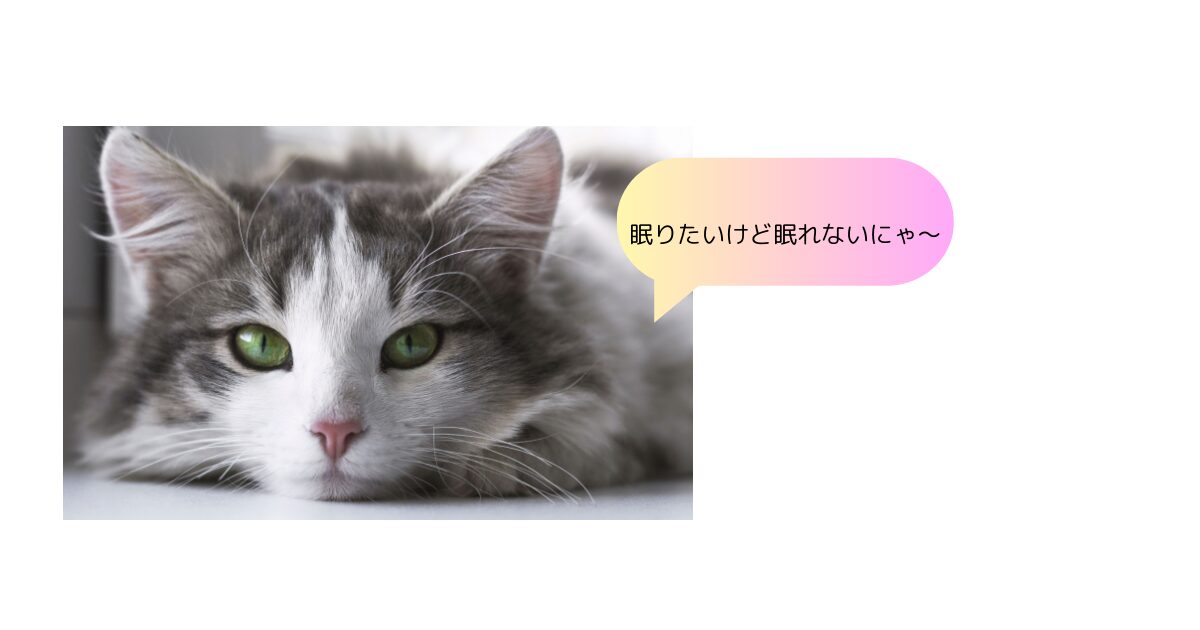 猫が眠れないと言ってる画像